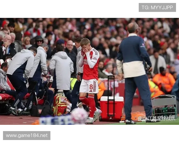 厄德高国家队关键战表现解析